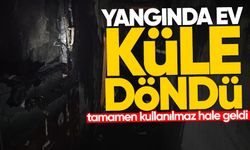 Ereğli’deki yangında ev küle döndü