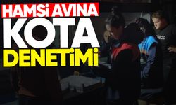 Hamsi avına kota denetimi