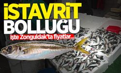 İstavritin bolluğu fiyatları düşürdü