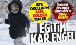 VALİLİK AÇIKLADI ❄️ 18 Aralık Çarşamba kar tatili olan iller ve ilçeler hangisi?