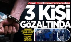 Orman muhafaza memuruna saldıran 3 şüpheli gözaltında