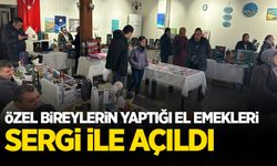 "Engelsiz Sanat Engelsiz Yaşam" sergisi açıldı