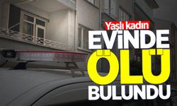 Yaşlı kadın evinde ölü bulundu