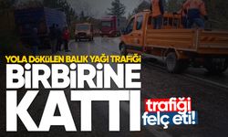 Yola dökülen balık yağı trafiği birbirine kattı