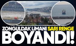 Zonguldak Limanı sarı renge boyandı