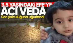 3.5 yaşındaki Efe Mahmut toprağa verildi