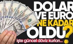 Dolar/TL bugün ne kadar? (13 Mart 2025 dolar - Euro fiyatları)