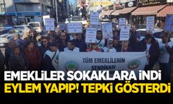 Emekliler toplandı! Hükümete tepki gösterdi