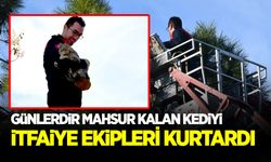 Günlerdir ağaçta mahsur kalan kedi, itfaiyenin çalışmasıyla kurtarıldı