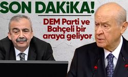 DEM Parti heyeti Devlet Bahçeli ile görüşecek