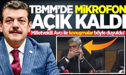 TBMM’de komisyon başkanı, Milletvekili Avcı’yı telefonla aradı! Konuşmalar böyle duyuldu...