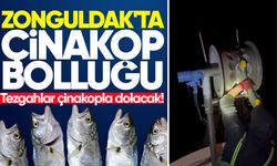 Zonguldak'ta çinakop bolluğu: Tezgahlar çinakopla dolacak!