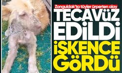 Zonguldak’ta tecavüz edildi, işkence gördü, yaşam mücadelesi sürüyor! Desteğe ihtiyaç var!