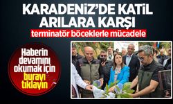 Karadeniz'de "katil arılara" karşı "terminatör böceklerle" mücadele