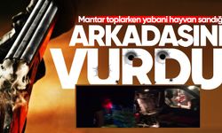 Mantar toplarken yabani hayvan sandığı arkadaşını av tüfeğiyle vurdu