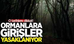 Ormanlara girişler yasaklanıyor