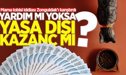 Zonguldak alarmda! “Hayvanseverlik” kılıfıyla kurulan rant düzeni iddiası...