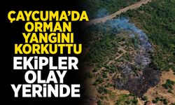 Çaycuma’da Orman Yangını Korkuttu: Ekipler olay yerinde!