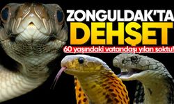 Zonguldak'ta dehşet: 60 yaşındaki vatandaşı yılan soktu!