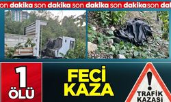 Alaplı’da feci kaza: Şarampole uçtu hayatını kaybetti