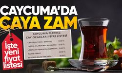 Çaycuma'da çaya zam: İşte yeni fiyat listesi!
