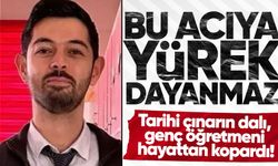 Bu acıya yürek dayanmaz: Tarihi çınarın dalı, öğretmeni hayattan kopardı!
