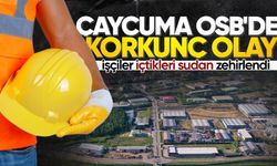 Çaycuma OSB'de korkunç olay: İşçiler zehirlendi!