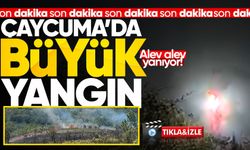 Çaycuma'da büyük orman yangını: Alev alev yandı!