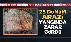 Anız yangını 25 dönüm araziye zarar verdi