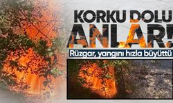 Korku dolu anlar: Rüzgar, yangını hızla büyüttü!