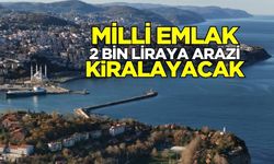 Milli Emlak Zonguldak’ta 2 bin liraya arazi kiralayacak