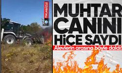 Muhtar canını hiçe saydı: Alevlerin arasına böyle daldı!