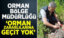 Orman Zararlılarına Geçit Yok