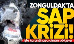 Zonguldak'ta büyük şap krizi: İşte karantinaya alınan bölgeler!