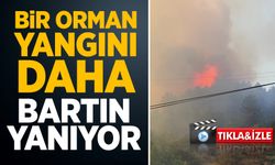 Bartın’da orman yangını başladı, müdahale sürüyor