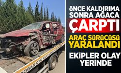 Ağaca çarparak durabilen aracın sürücü yaralandı