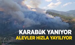 Karabük'te orman yangını: Rüzgar alevleri büyütüyor, müdahale havadan ve karadan sürüyor