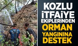 Karabük'te çıkan orman yangınına Kozlu'dan destek