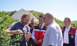 Zonguldak ve Bartın tarım müdürlerinden yaban mersini bahçesine ziyaret