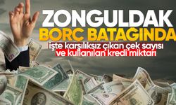 Zonguldak'ta işte karşılıksız çıkan çek sayısı ve kullanılan kredi miktarı