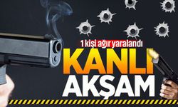 Çaycuma'da silahlar konuştu: 1 ağır yaralı
