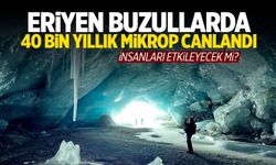 Eriyen buzullarda 40 bin yıllık mikrop canlandı