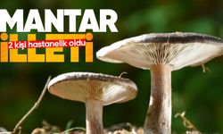 Mantar yiyen 2 kişi hastanelik oldu