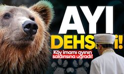 Ayı dehşeti: Köy imamı ayının saldırısına uğradı!