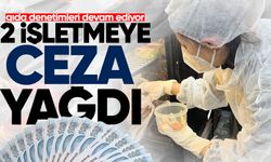 Devrek’te gıda denetimleri devam ediyor: 2 işletmeye daha cezai işlem!