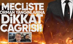 Hamzaçebi’den orman yangınlarına dikkat çağrısı