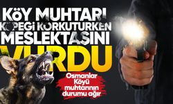 Köy muhtarı meslektaşını vurdu: Hastanede yaşam savaşı veriyor!