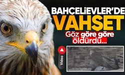 Zonguldak Bahçelievler'de korkunç görüntüler: Paramparça etti!