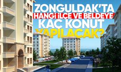 Zonguldak’ta hangi ilçe ve beldeye kaç konut yapılacak? Başvuru şartları neler?