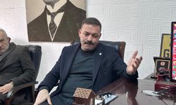 Çağlayan Zonguldak Belediyesi’nin sokak hayvanlarını uyutmasını eleştirdi!